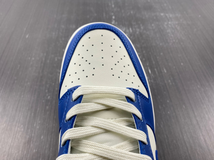 Nike Dunk Low FB7173-141