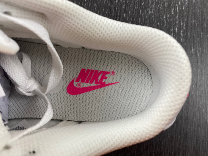 Nike Dunk Low (GS) FB9109-401