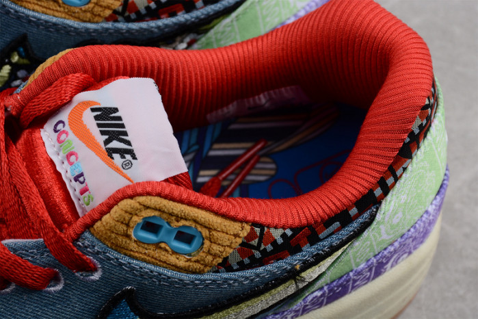 Concepts x Nike Air Max 1 DN1803-500